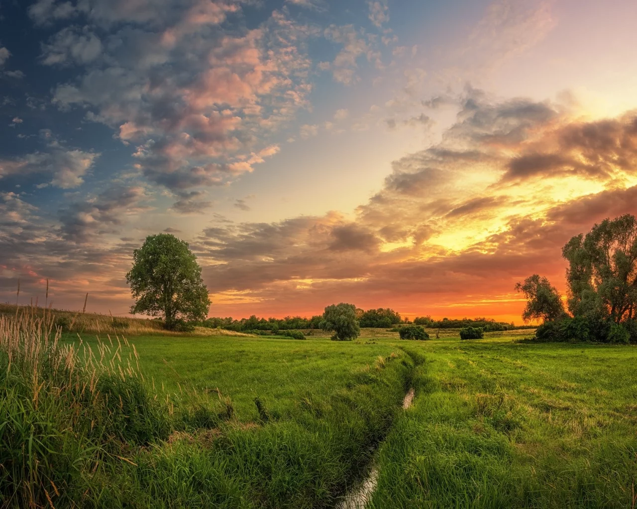 природа, пейзаж, красота