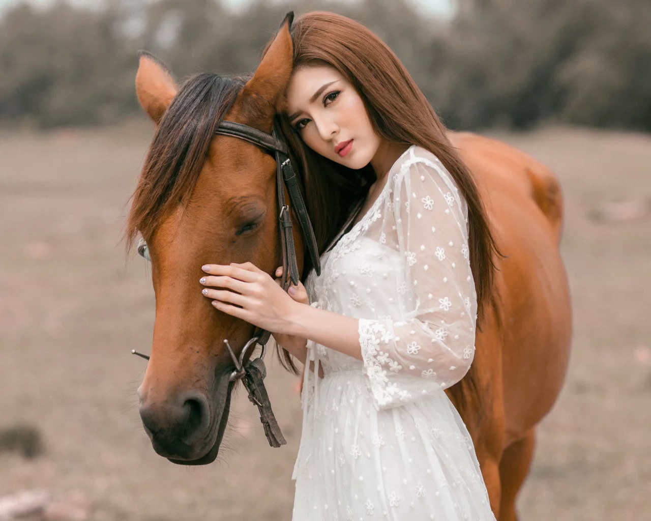 лошадь, азиатка