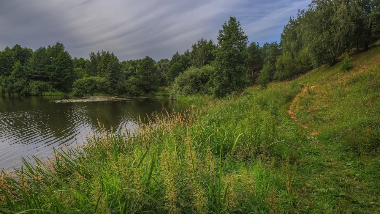 река, трава