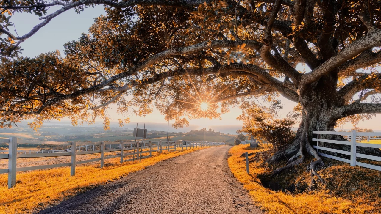 природа, пейзаж, красота