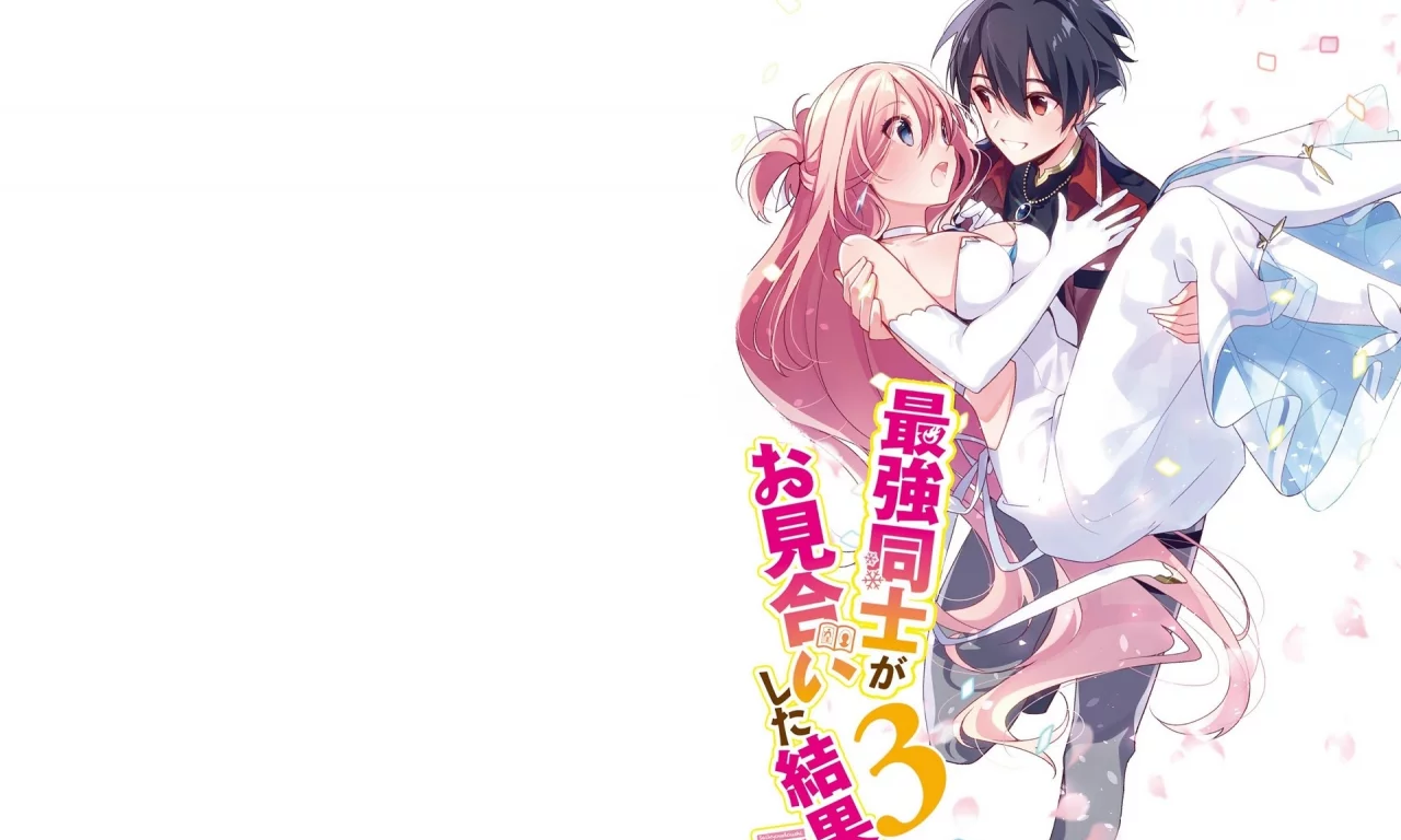 saikyou doushi ga omiai shita kekka, персонажи