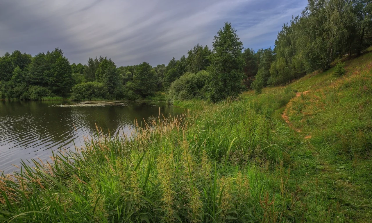 река, трава