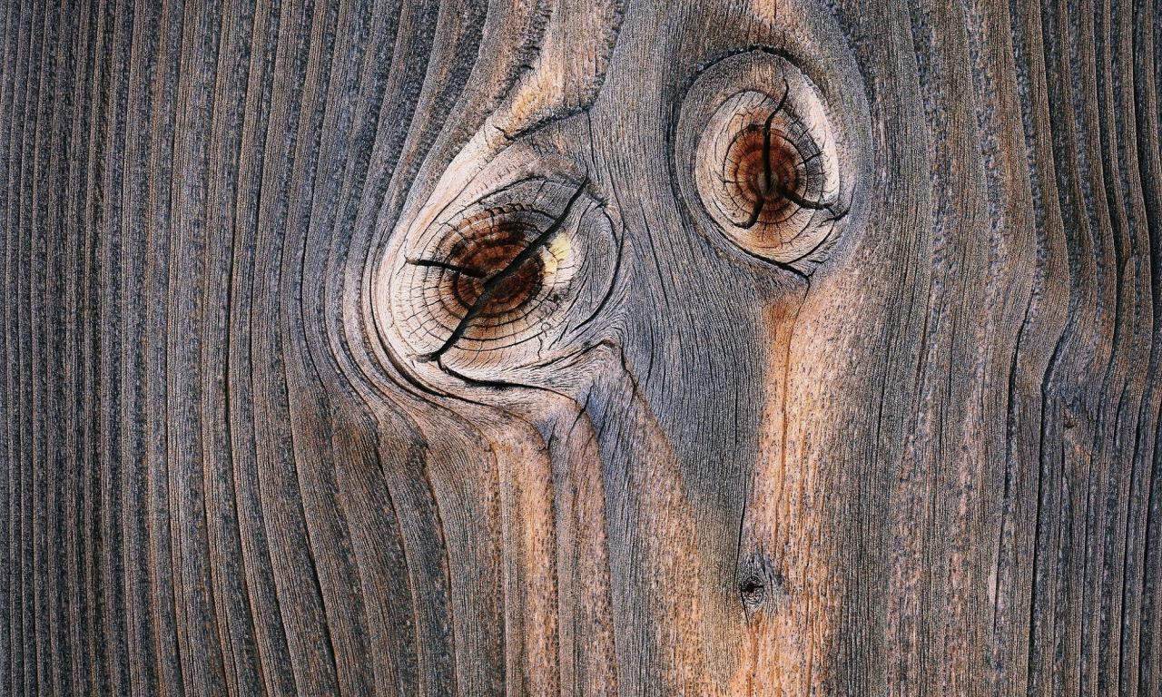 древесина, доска