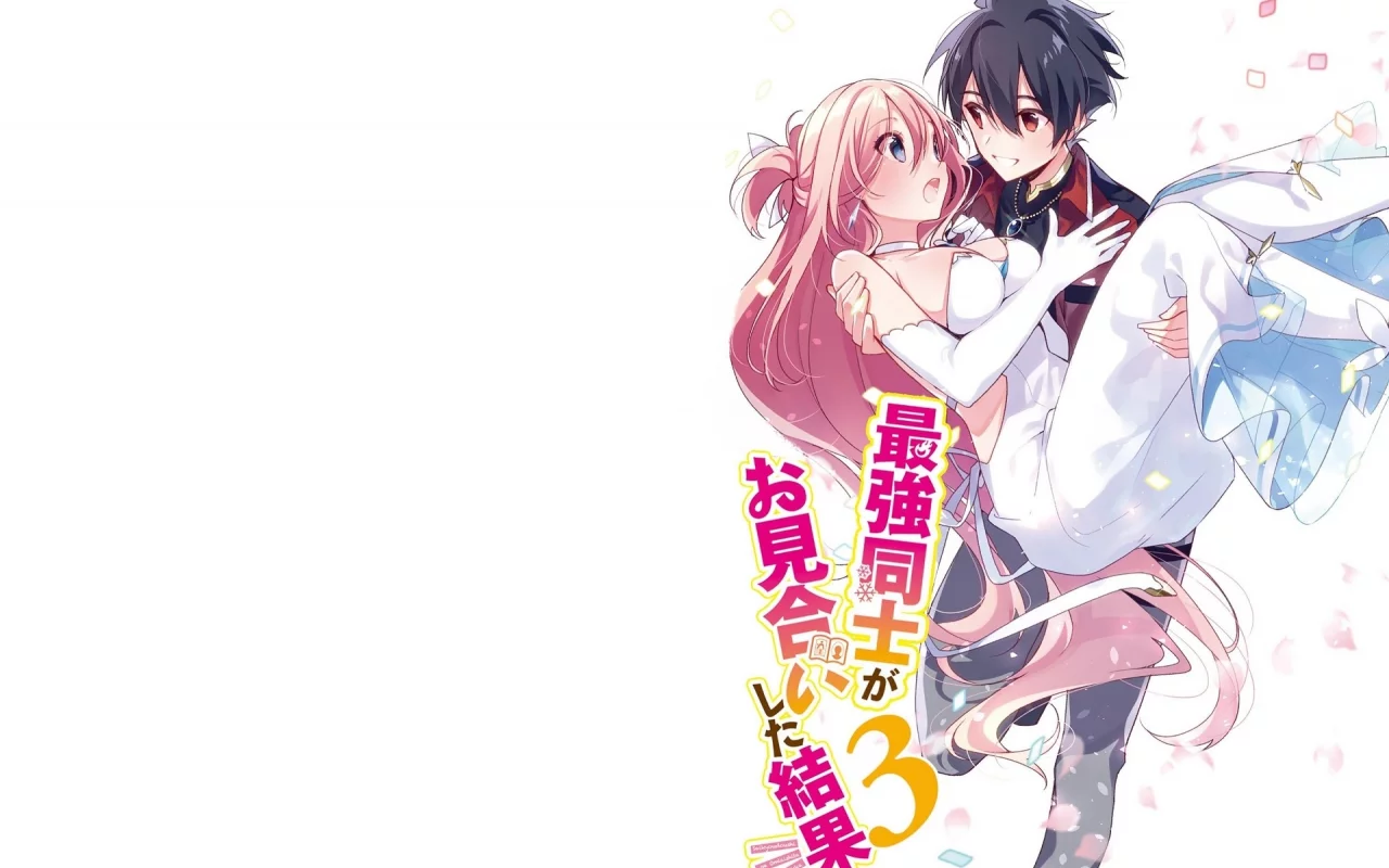 saikyou doushi ga omiai shita kekka, персонажи