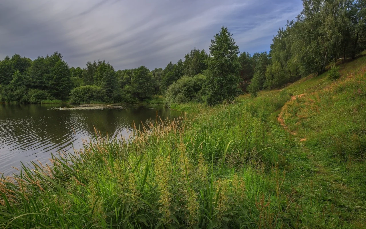 река, трава