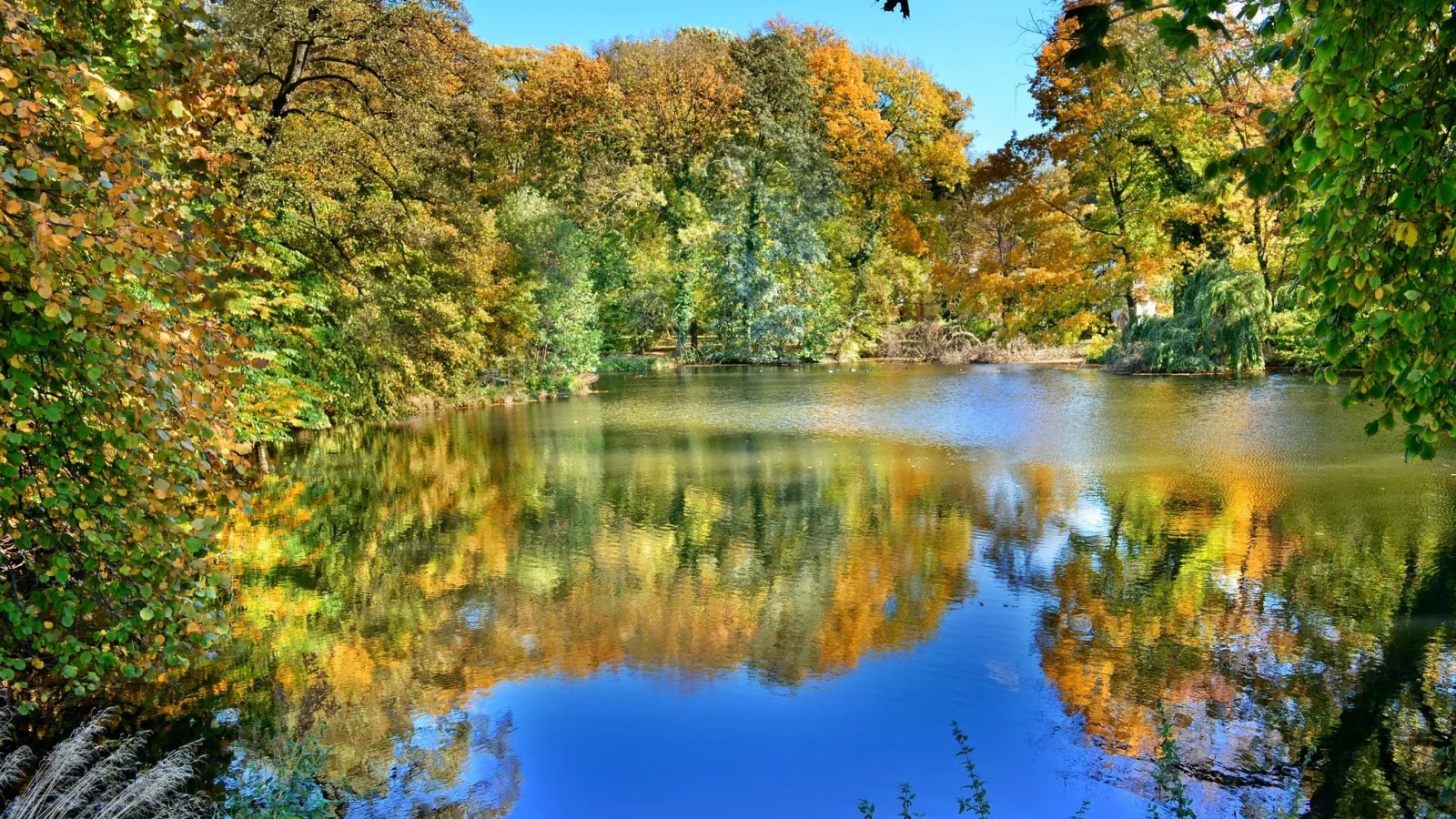 осень, озеро