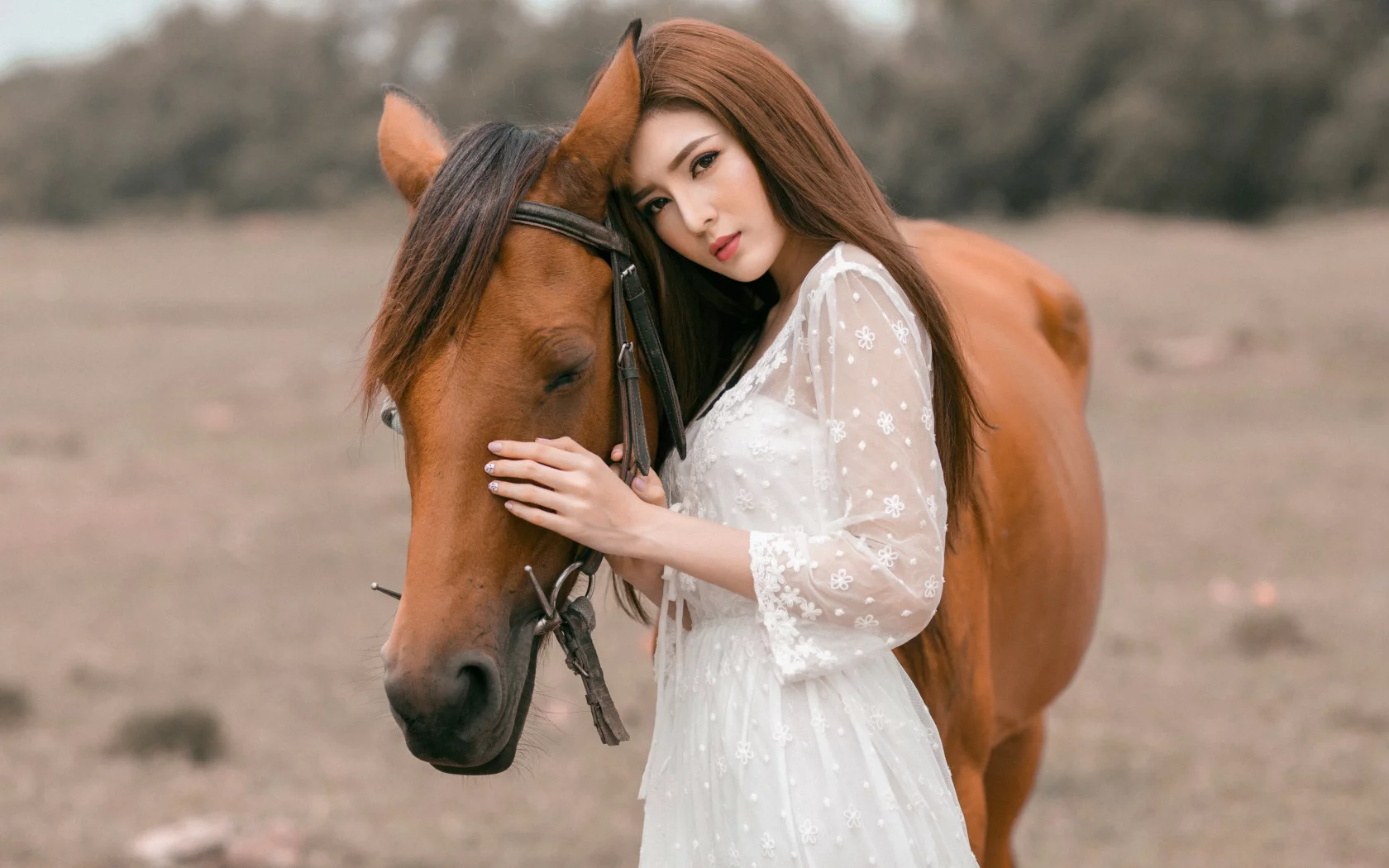 лошадь, азиатка