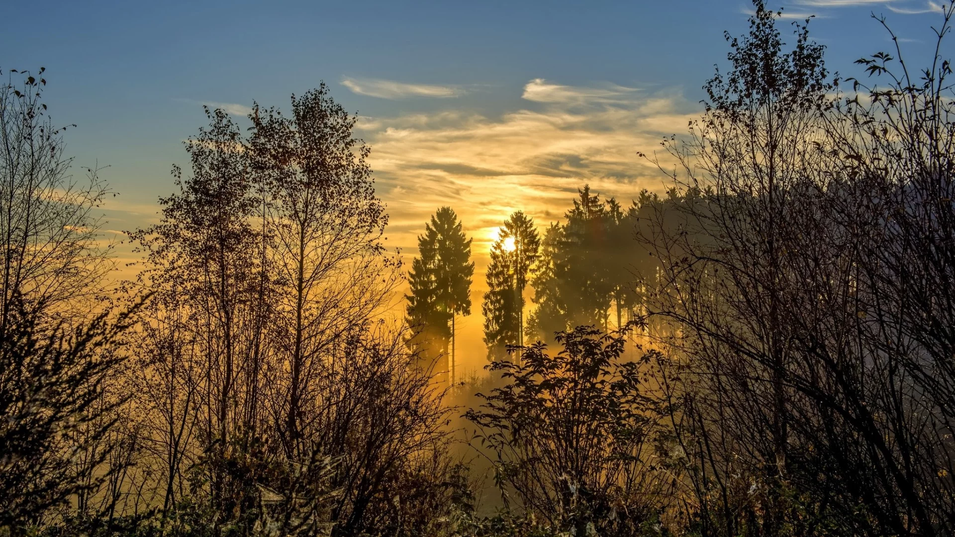 природа, пейзаж, красота