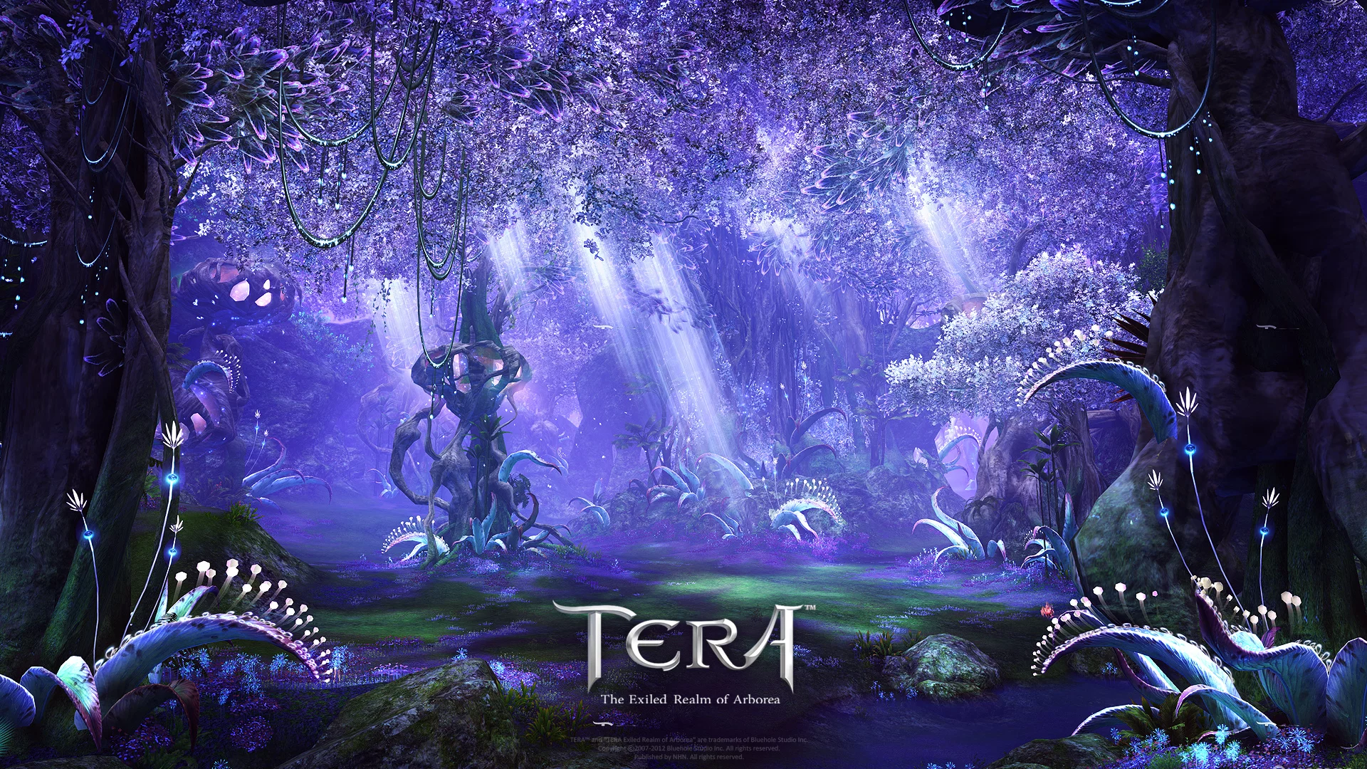 tera, фэнтези