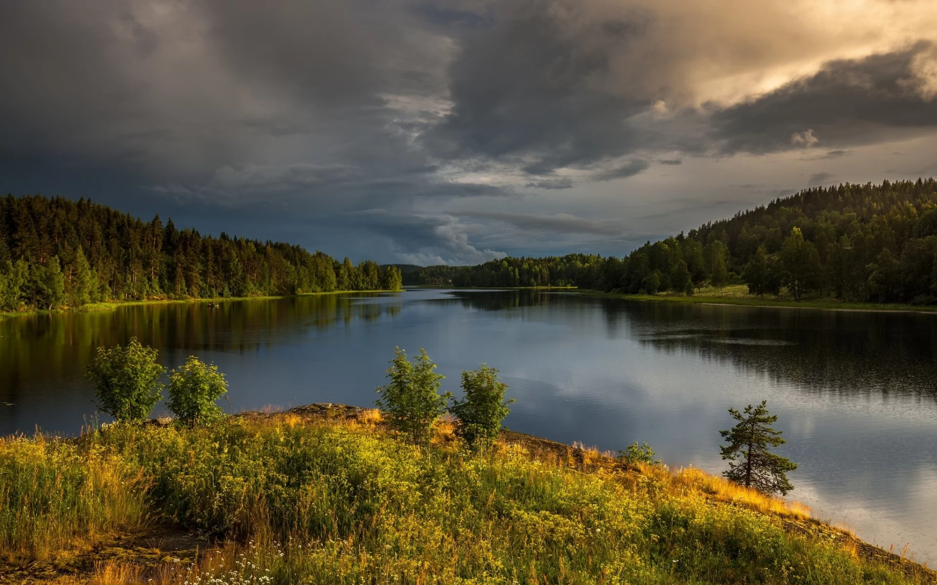 природа, красота, пейзаж