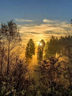 природа, пейзаж, красота