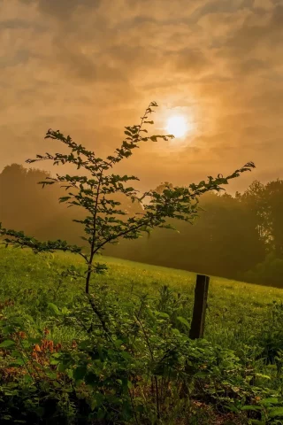 природа, пейзаж, красота