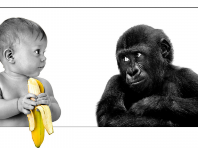 ребёнок, банан, обезьяна