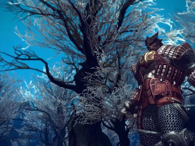 tera, фэнтези
