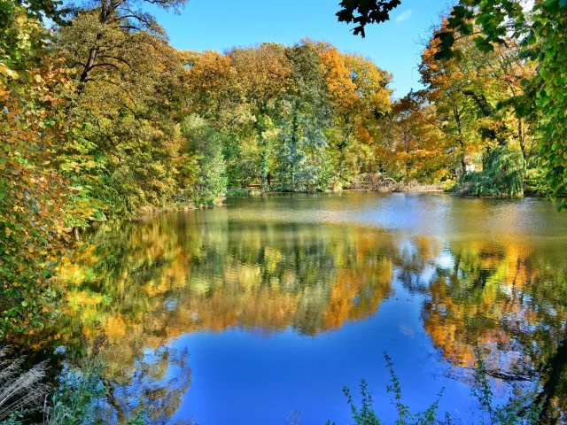осень, озеро