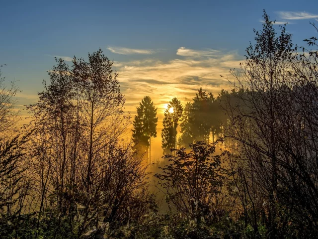 природа, пейзаж, красота