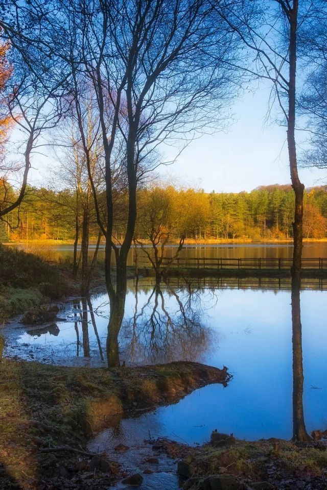 природа, красота, пейзаж