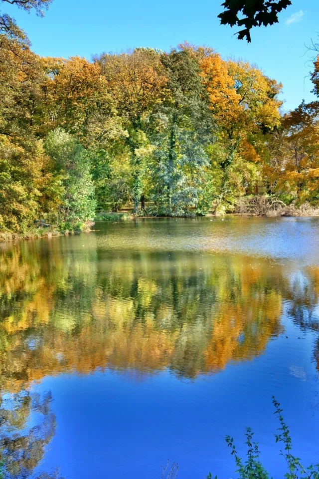 осень, озеро