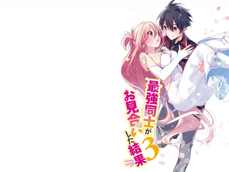 saikyou doushi ga omiai shita kekka, персонажи
