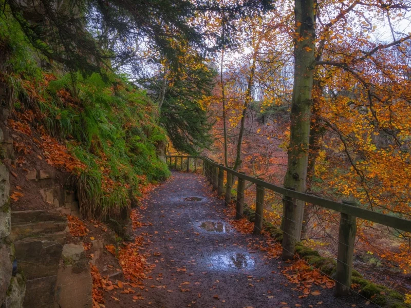 природа, красота, пейзаж