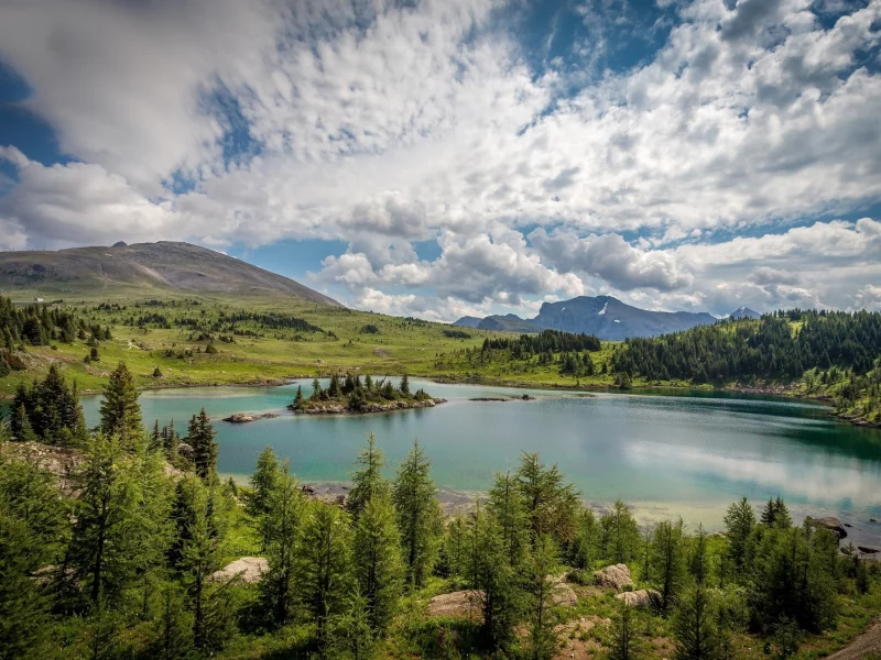 природа, красота, пейзаж