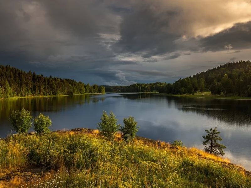 природа, красота, пейзаж