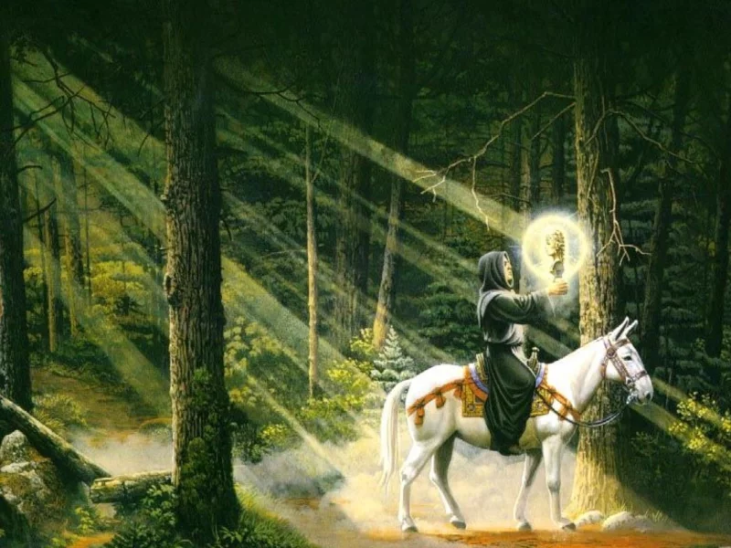 лес, всадник, лошадь
