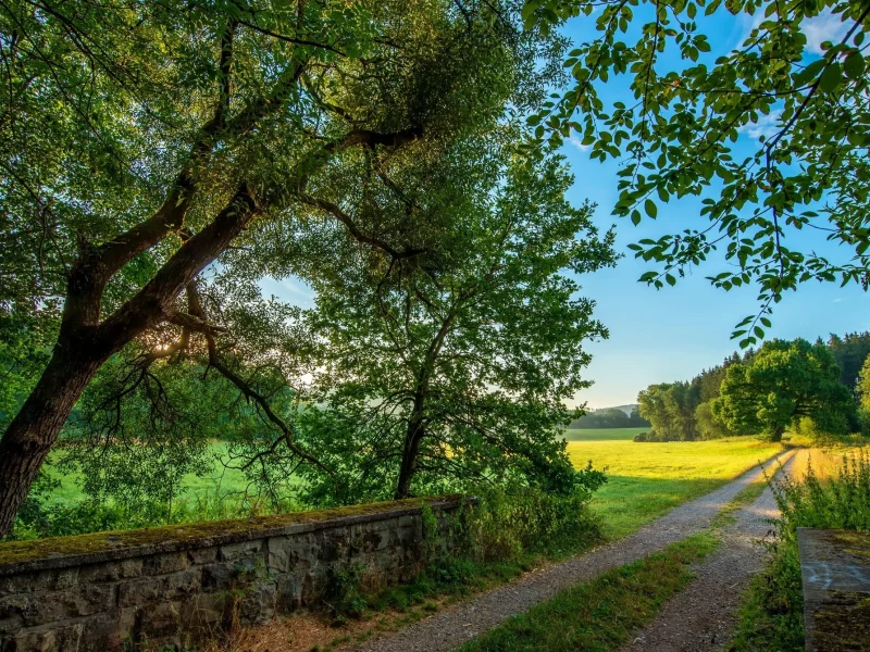 природа, пейзаж, красота