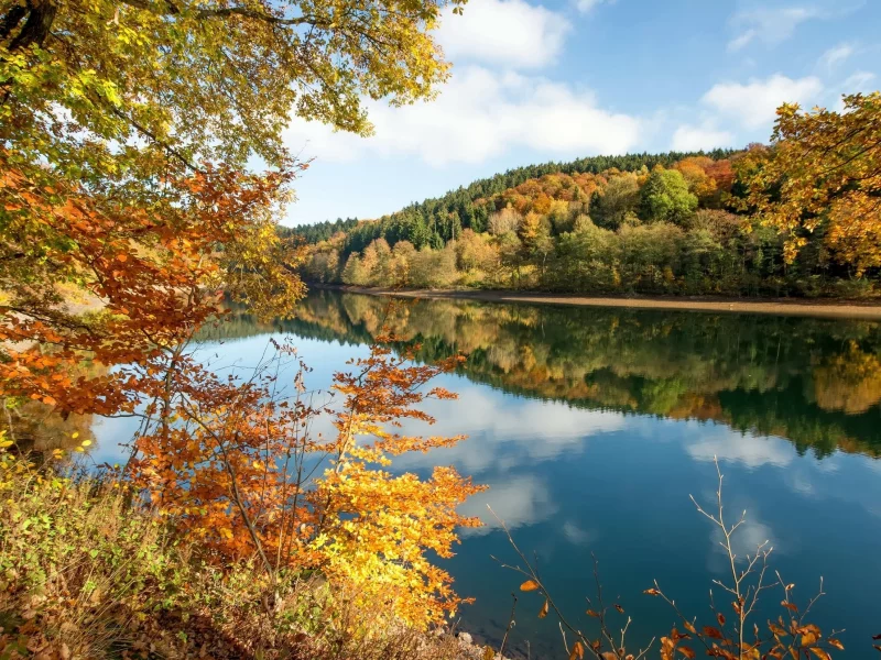 природа, пейзаж, красота