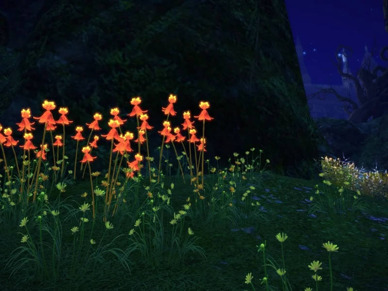 tera, фэнтези