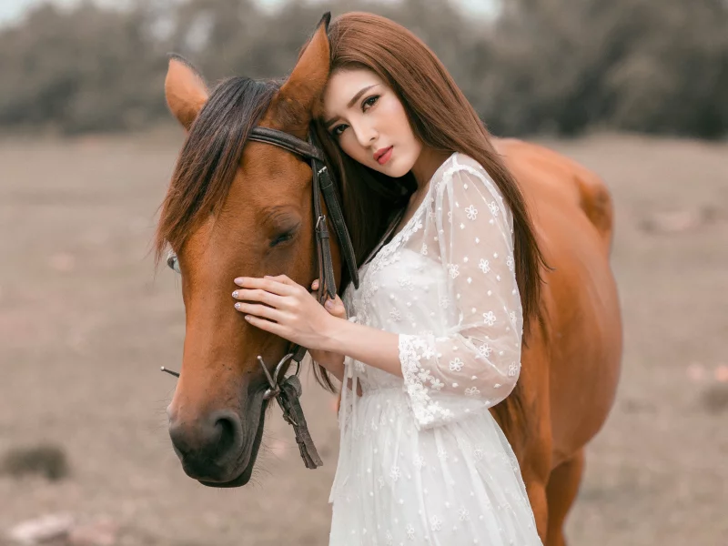 лошадь, азиатка