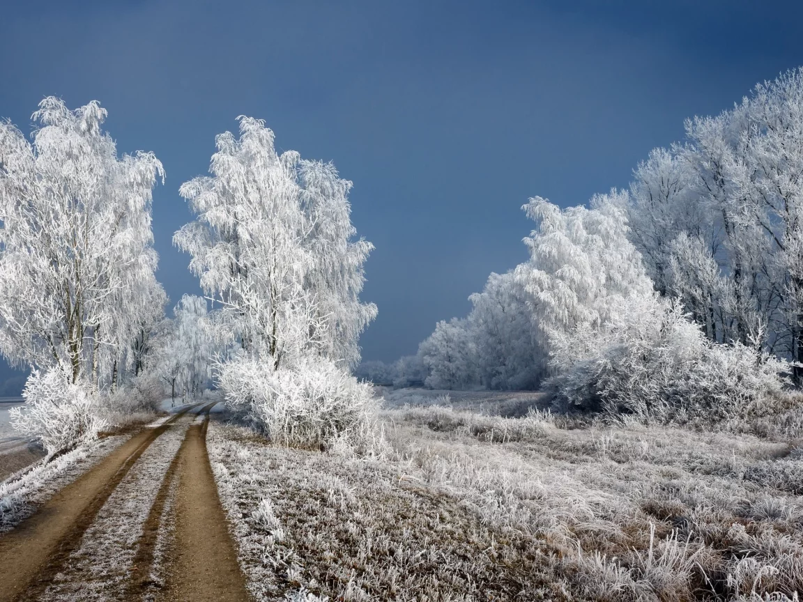 зима, снег