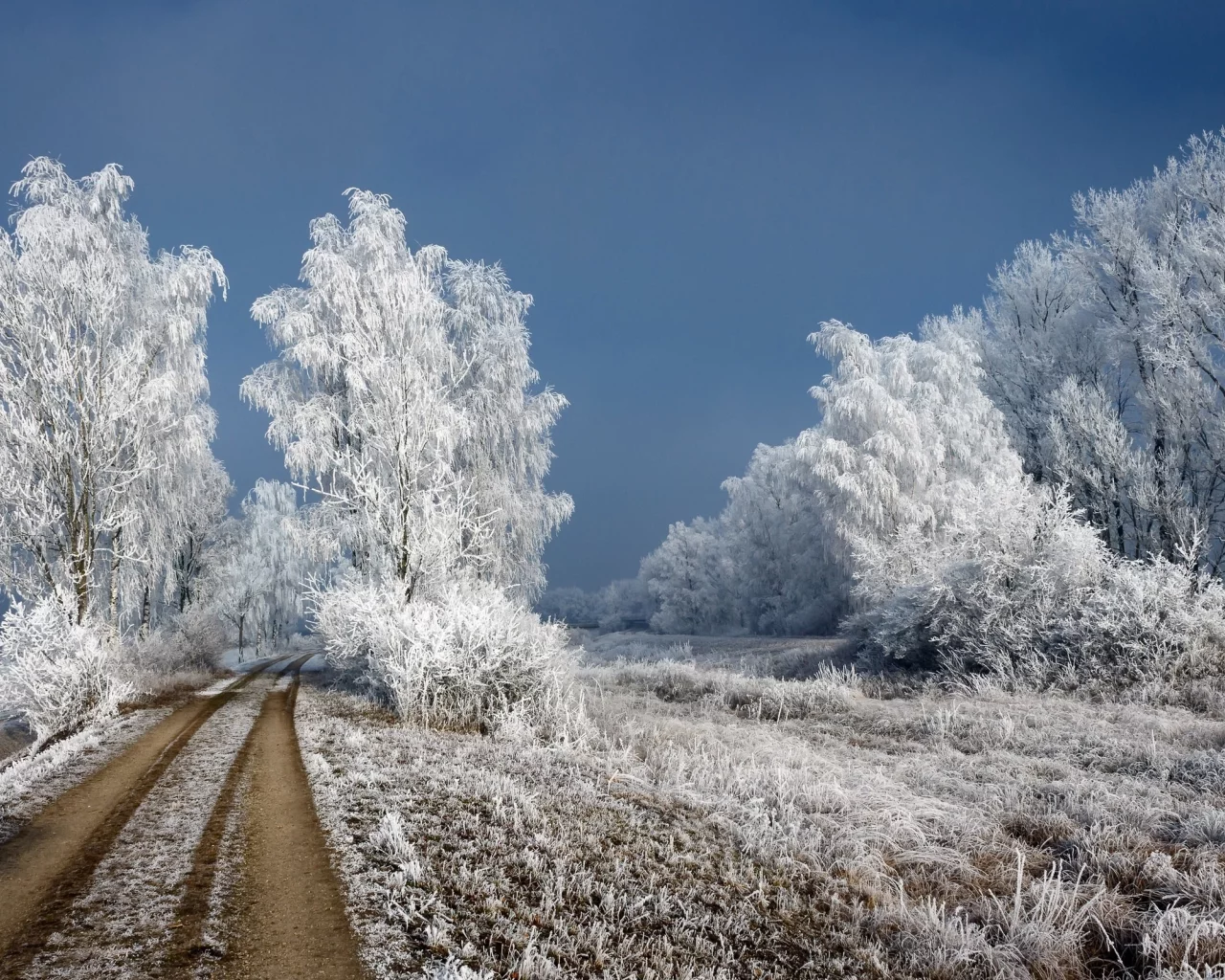 зима, снег