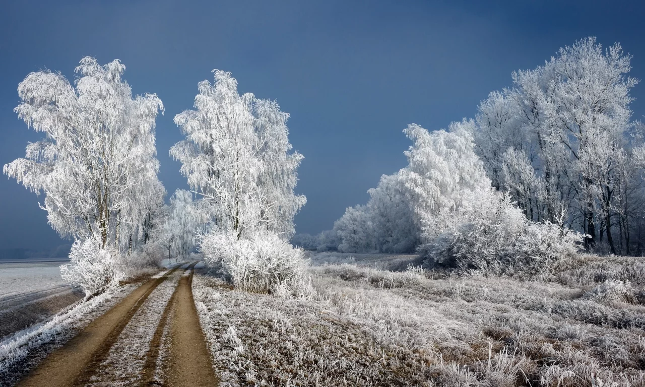 зима, снег
