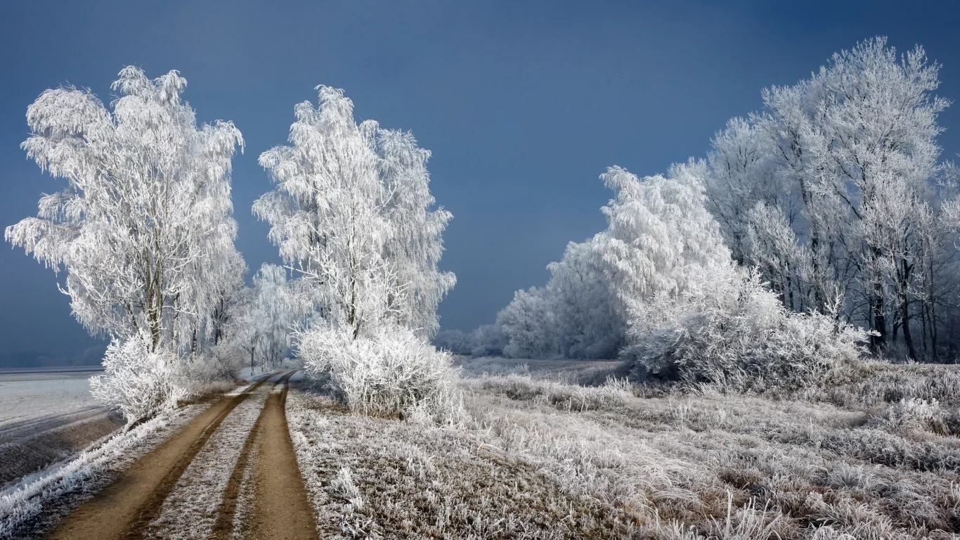 зима, снег