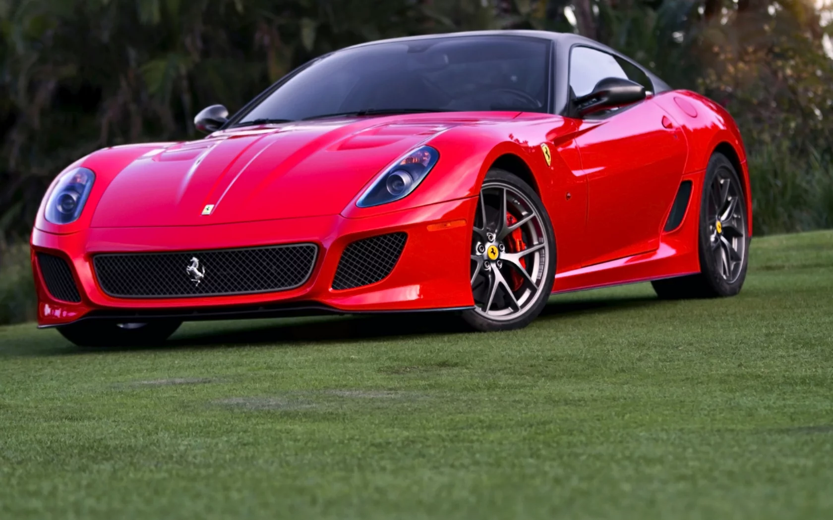 auto, ferrari