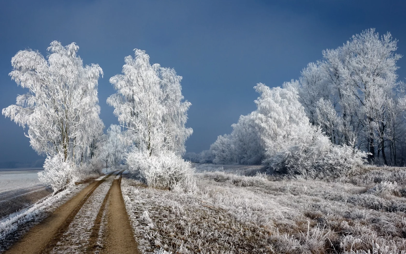 зима, снег