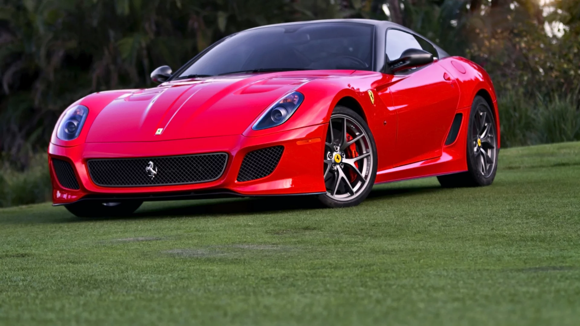 auto, ferrari