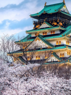 весна, сакура, пагода, япония
