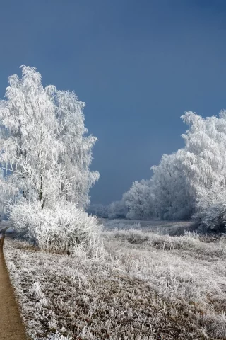 зима, снег