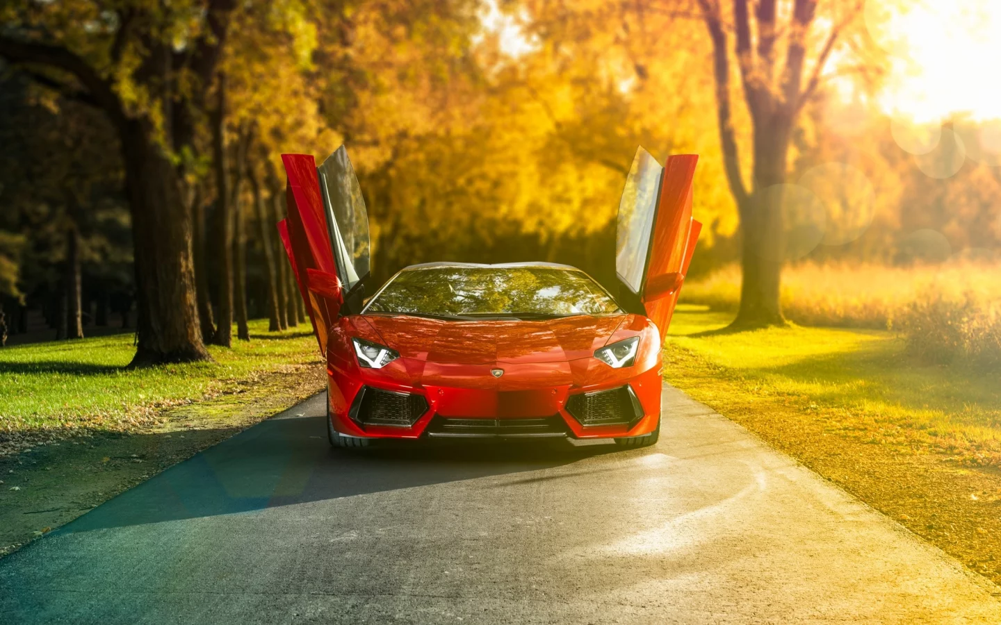 авто, ламборгини