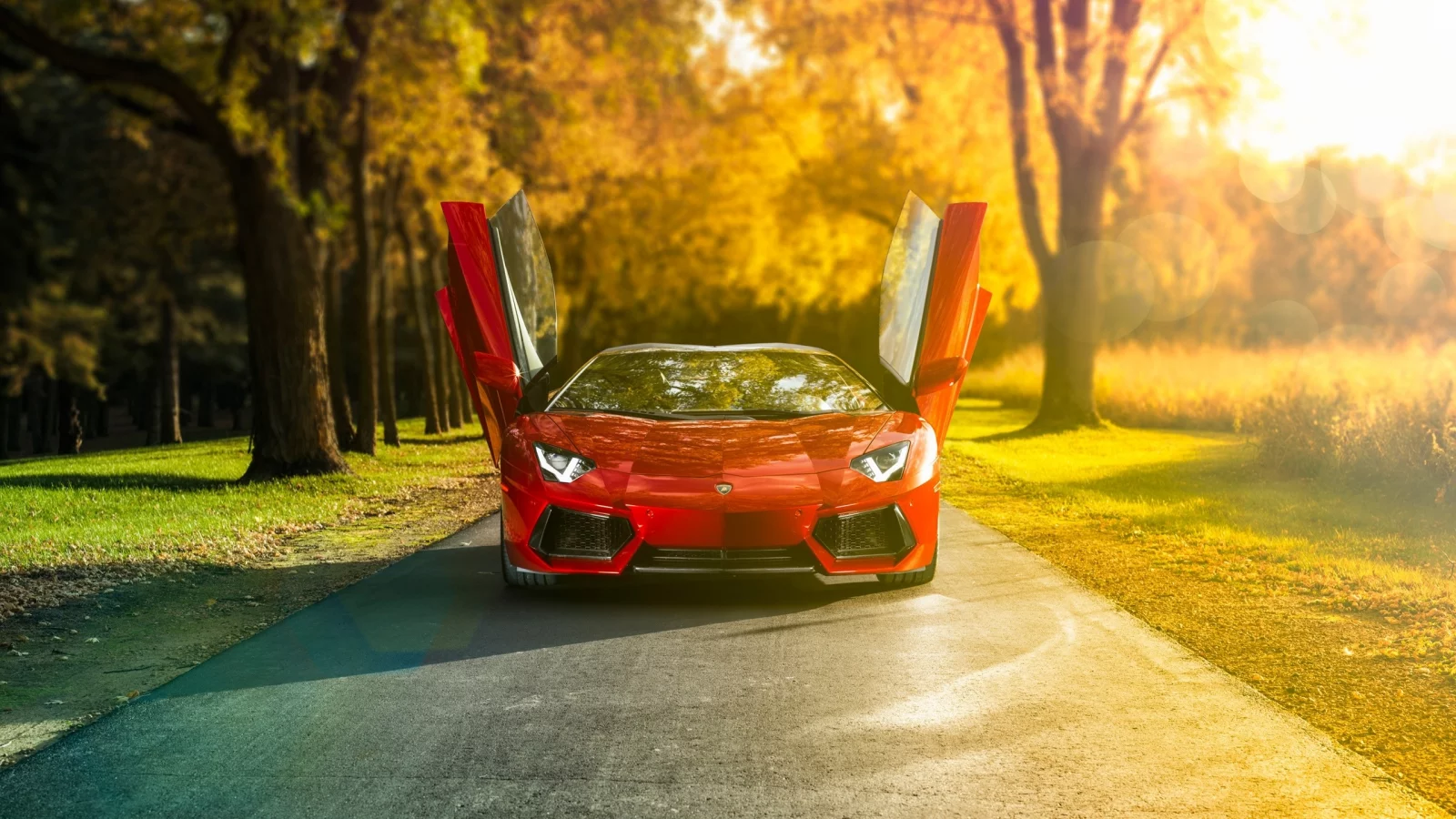 авто, ламборгини