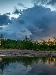 лес, берег, небо, вечер, облака, камни, природа, пейзаж