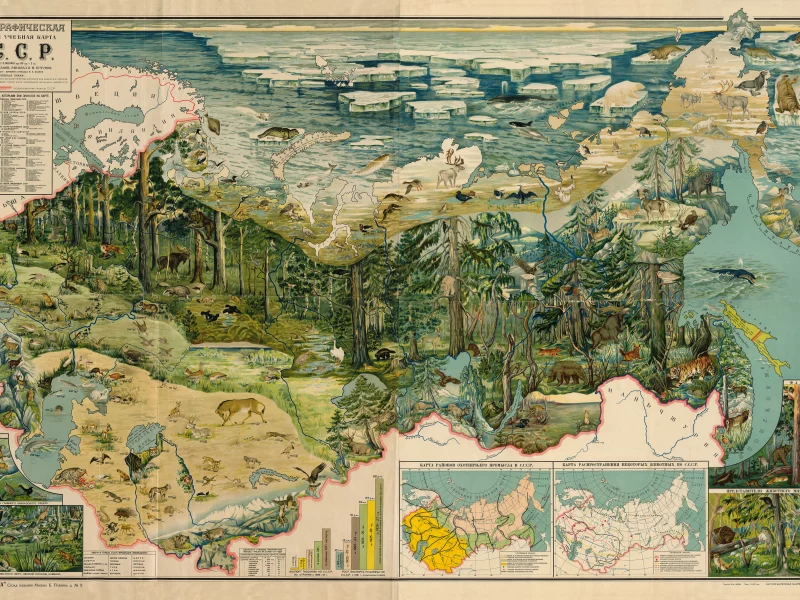 зоогеографическая, карта, ссср