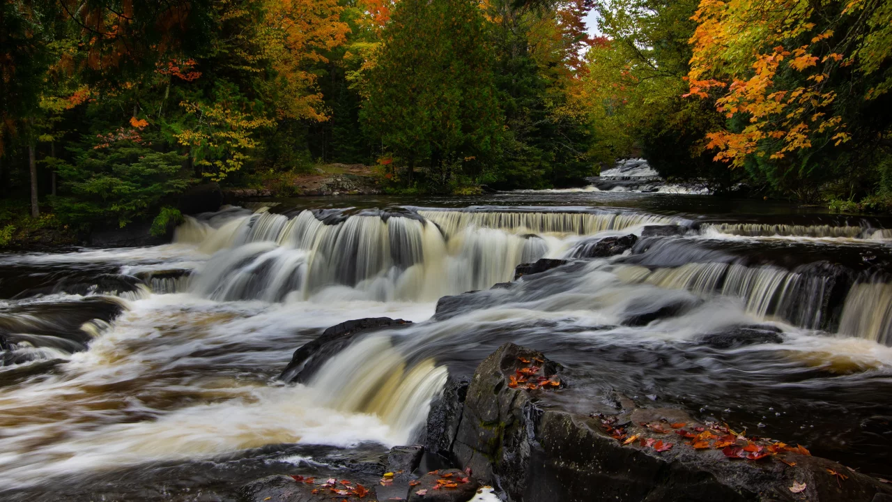 лес, река, перекаты, вода, деревья