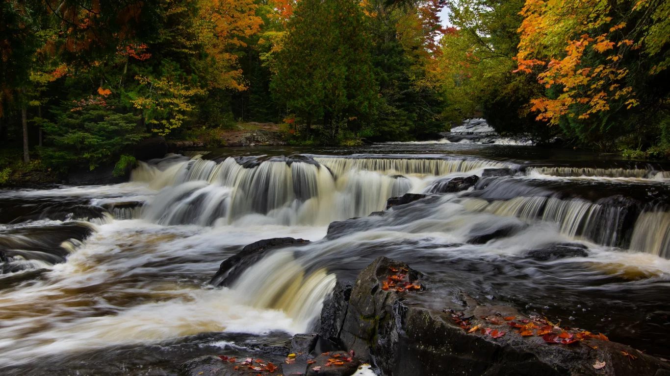 лес, река, перекаты, вода, деревья
