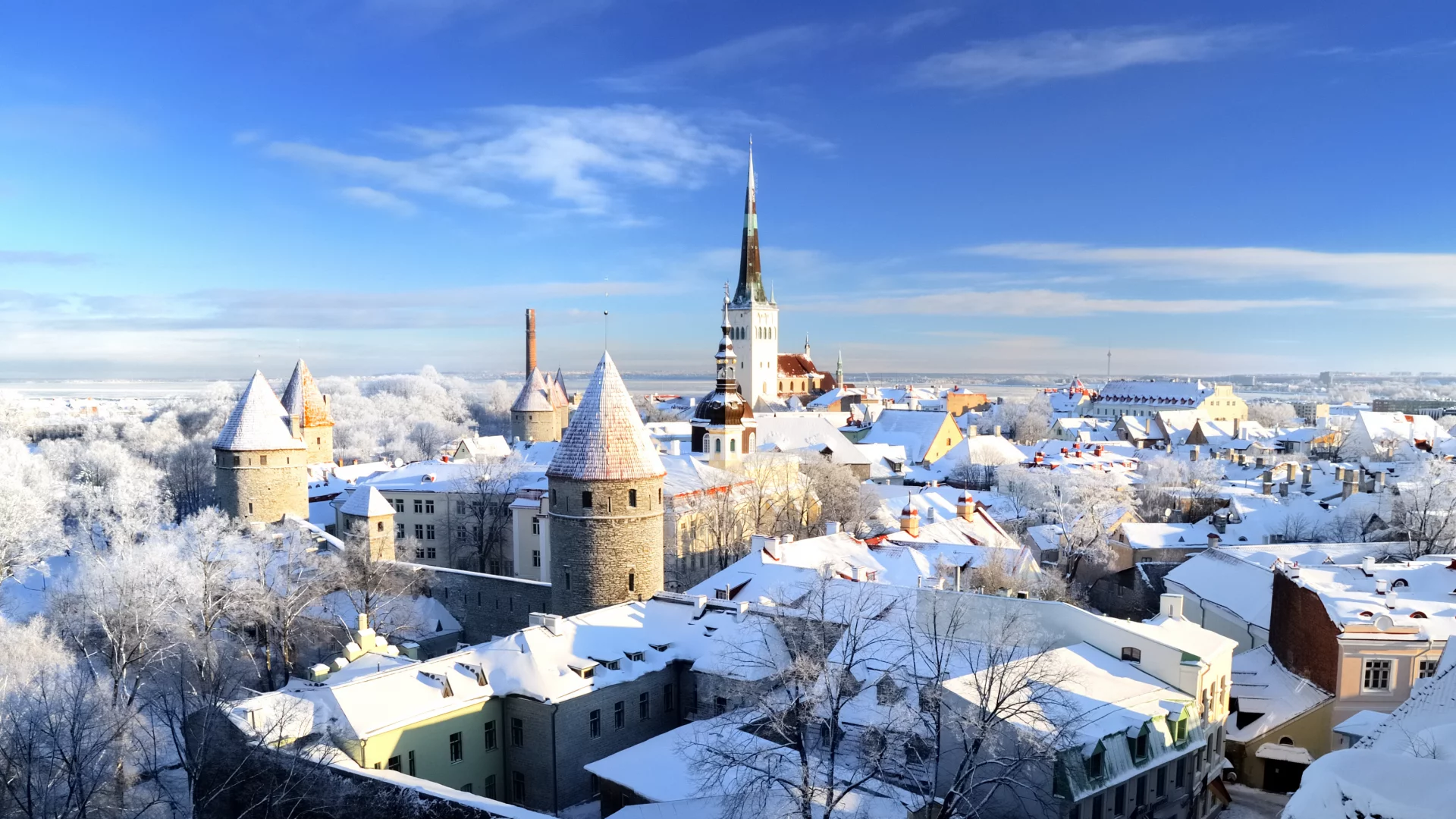 таллинн, эстония, старый, город, зима, снег