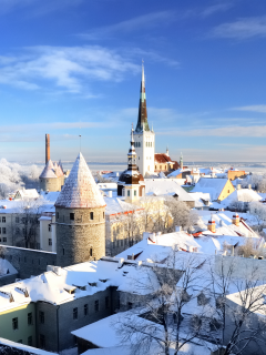 таллинн, эстония, старый, город, зима, снег
