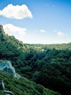 лес, горы, замок