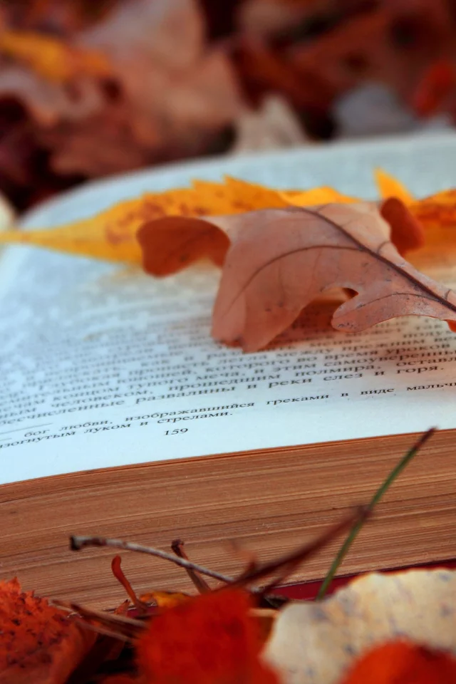 книга, листья, осень